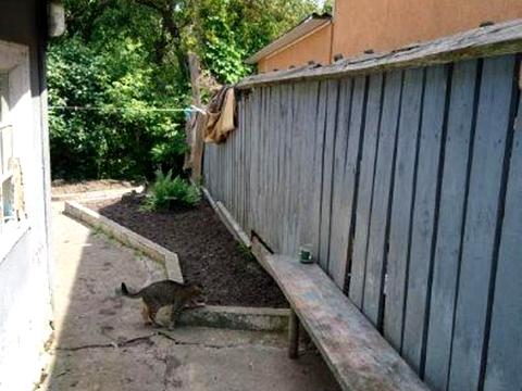 ділянка за адресою Київ, 