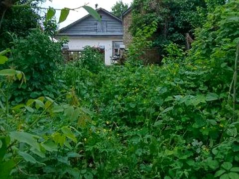 ділянка за адресою Київ, 