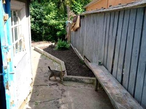 ділянка за адресою Київ, 