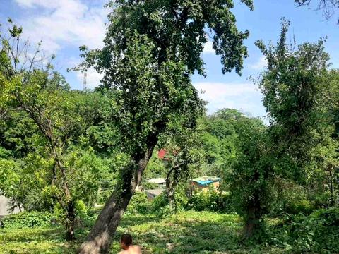 ділянка за адресою Київ, 