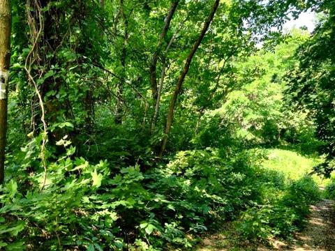 участок по адресу 