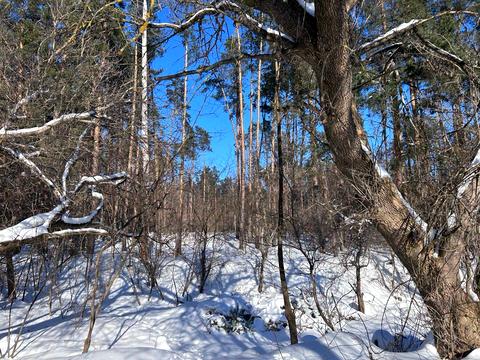 участок по адресу 