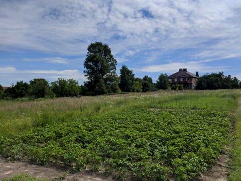 ділянка за адресою 