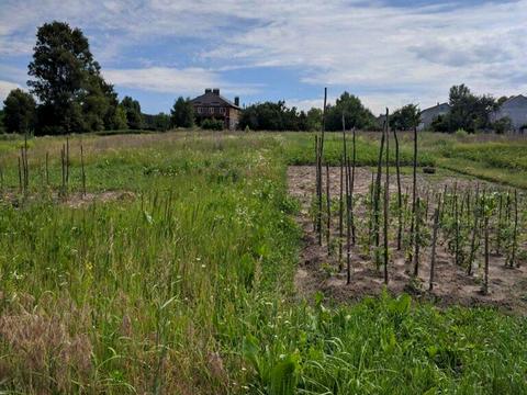 ділянка за адресою 