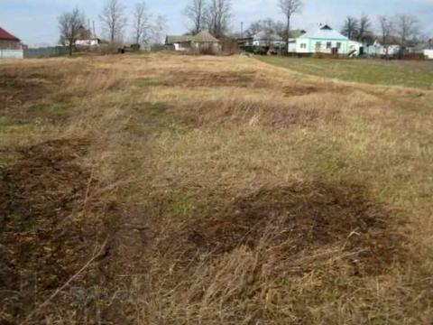 ділянка за адресою Грушевського