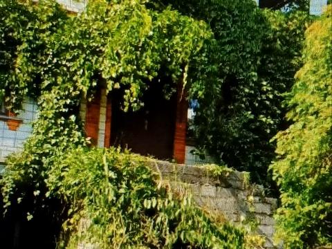 ділянка за адресою Шевченка вул., 48