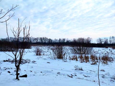 участок по адресу Гната Хоткевича ул.