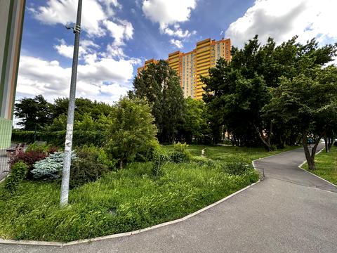 квартира за адресою Петра Калнишевського вул. (Михайла Майорова), 14