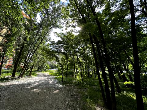 квартира за адресою Петра Калнишевського вул. (Михайла Майорова), 14