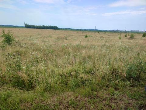 участок по адресу 