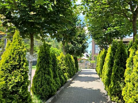 дом по адресу Лучшая ул. (Ломоносова)