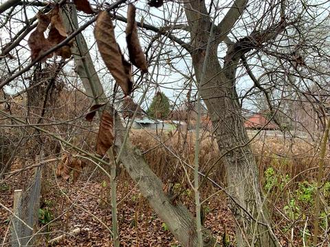 ділянка за адресою 