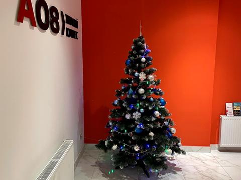 квартира за адресою Академіка Вільямса вул., (Будинок)