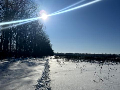 участок по адресу Шевченко