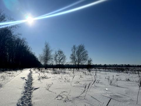 участок по адресу Шевченко
