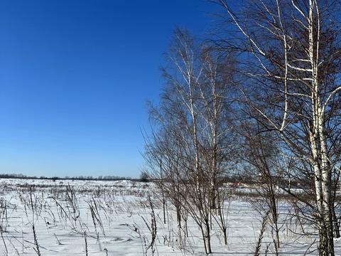 участок по адресу Шевченко