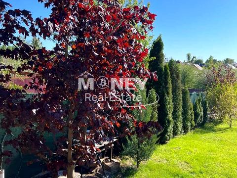 дом по адресу Старі Петрівці