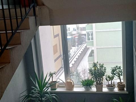 квартира по адресу Павла Лі пер. (Московский), 2-Б