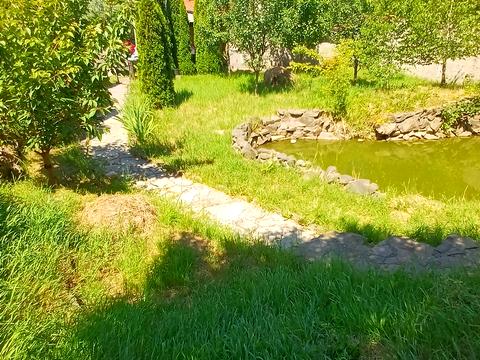 будинок за адресою с. Барвінок, Виноградна