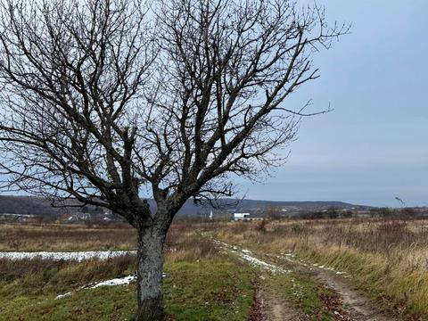 участок по адресу А.Ігната