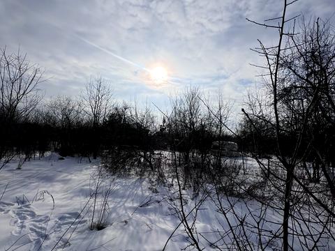 участок по адресу Брюховицька