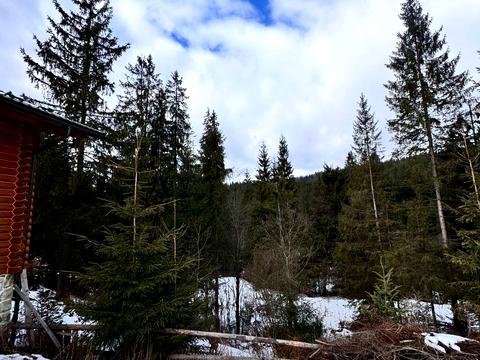 дом по адресу Тараса Шевченка ул.