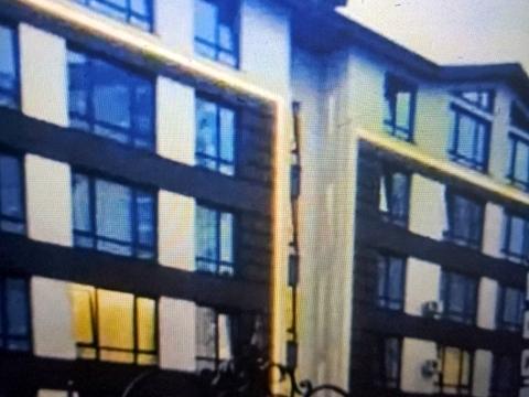 квартира по адресу Лесковская ул., (Будинок)