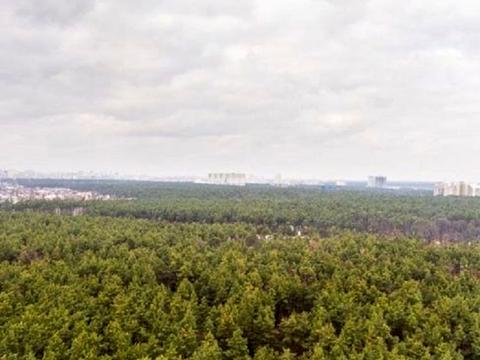 квартира за адресою Світла вул., 3 к2