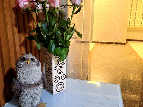 квартира за адресою Володимира Брожка вул. (Кіровоградська), (Будинок 4)