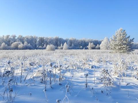 участок по адресу 
