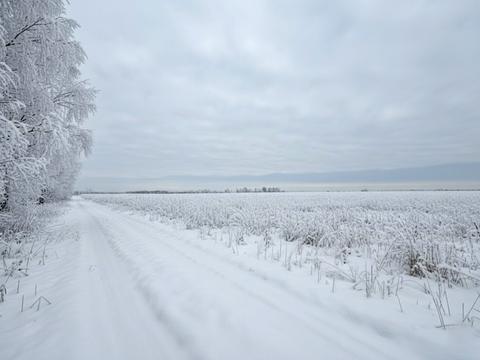 участок по адресу 