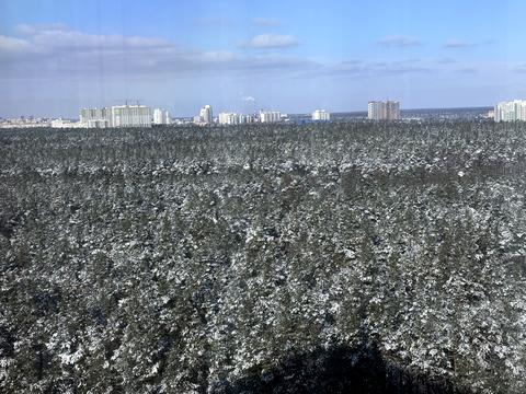 квартира за адресою Світла вул., (Будинок 1)