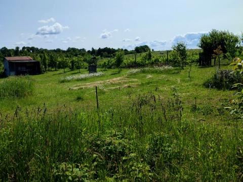 ділянка за адресою 