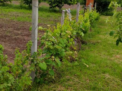 ділянка за адресою 