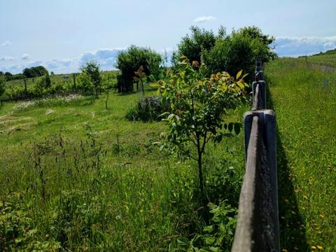 ділянка за адресою 