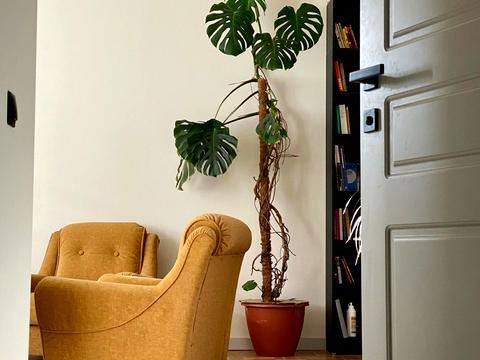 квартира по адресу Сечевых Стрельцов ул. (Артема), 68