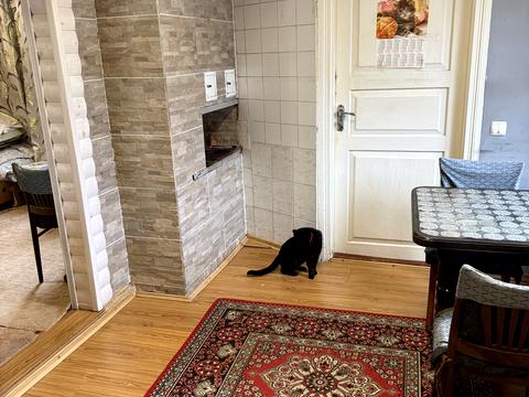 дом по адресу Олени Теліги, 5