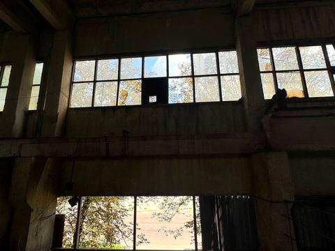 комерційна за адресою Промислова вул., 14