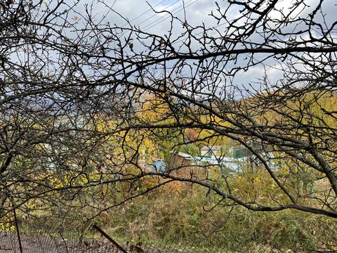 дом по адресу Оріхова