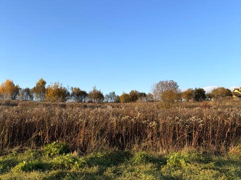 участок по адресу Леси Украинки ул.