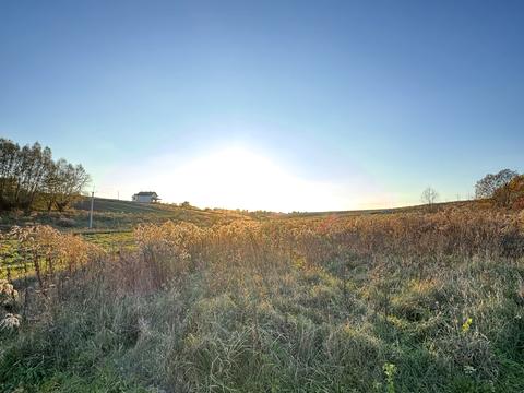 участок по адресу Леси Украинки ул.