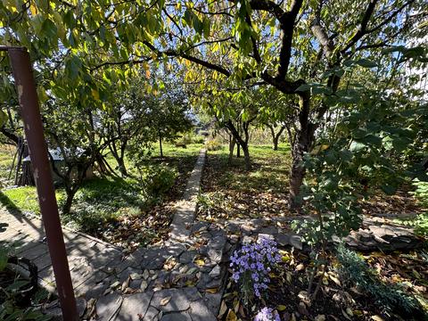 дом по адресу свиди