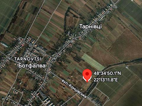 ділянка за адресою с. Тарнівці, Концівська