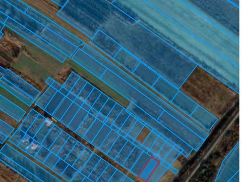 ділянка за адресою с. Тарнівці, Концівська