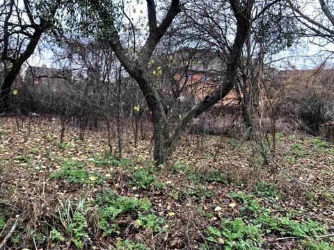 участок по адресу 