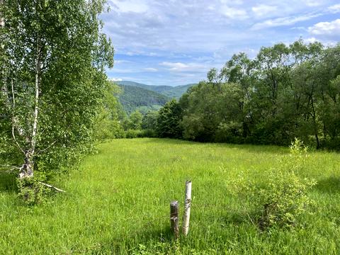 ділянка за адресою Кам'янка