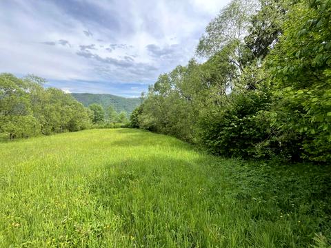 ділянка за адресою Кам'янка