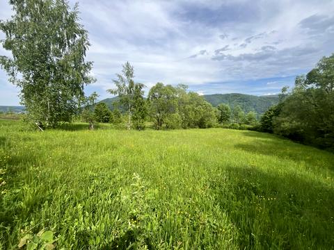 ділянка за адресою Кам'янка