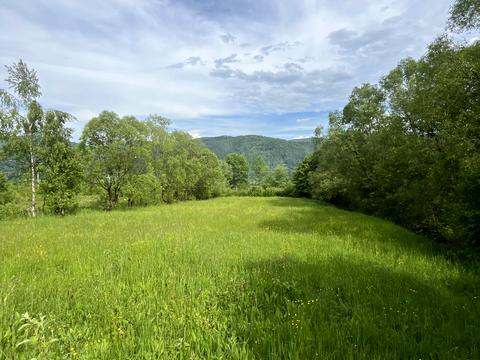 ділянка за адресою Кам'янка