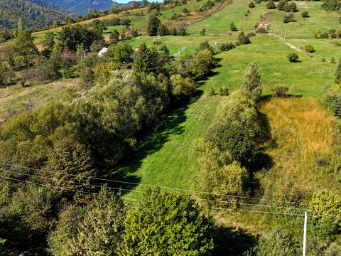 ділянка за адресою Кам'янка